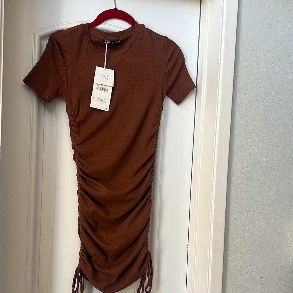 Brown Zara Ruched Dress